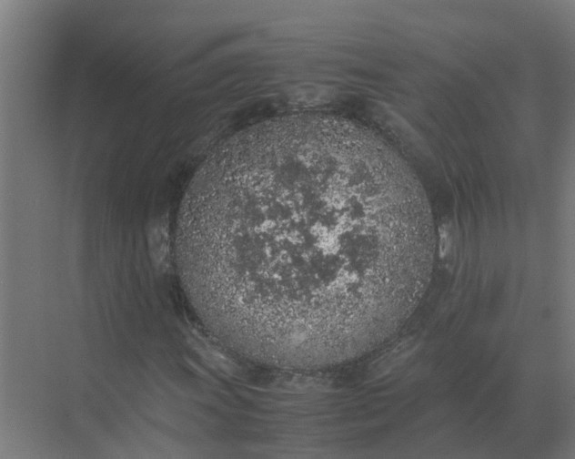 X0000074971011200609152117