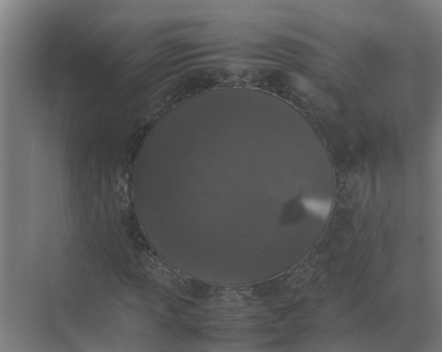 X0000074971013200609152117