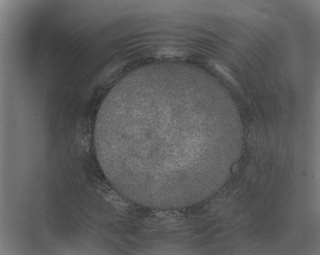 X0000074971015200609152117