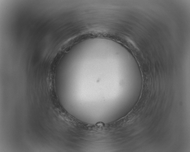 X0000074971016200609152117