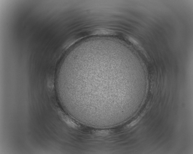 X0000074971017200609152117