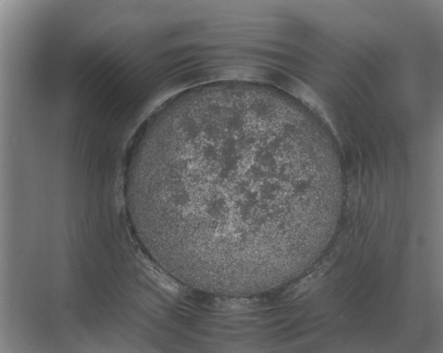 X0000074971019200609152117