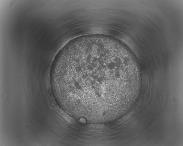 X0000074971023200609152117