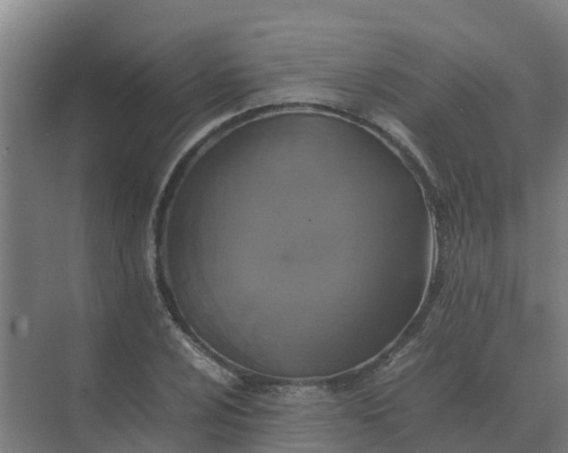 X0000074971024200609152117