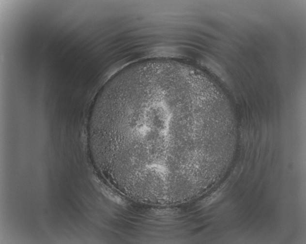 X0000074971025200609152117