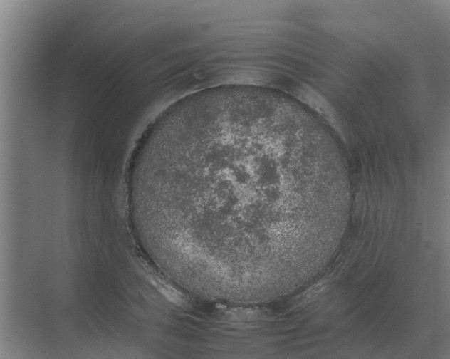 X0000074971027200609152117