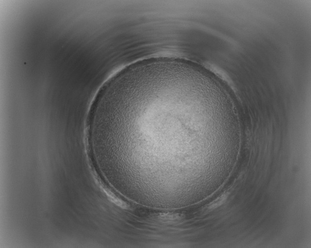 X0000074971029200609152117