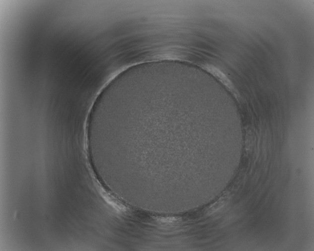 X0000074971031200609152117