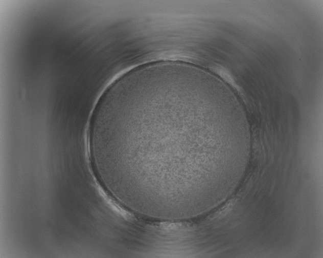 X0000074971032200609152117