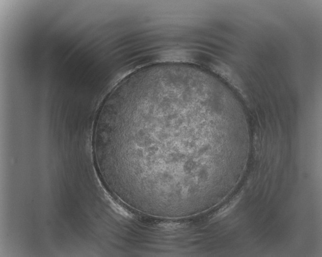 X0000074971033200609152117