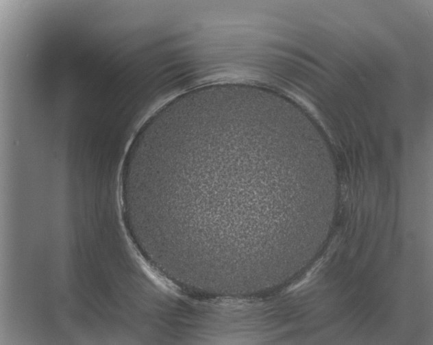 X0000074971034200609152117