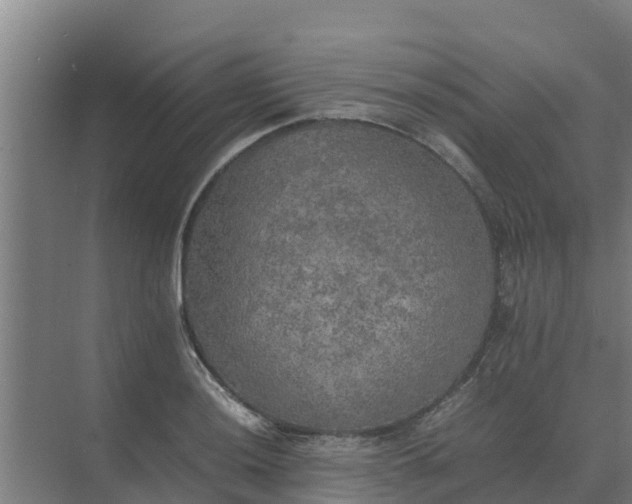 X0000074971036200609152117