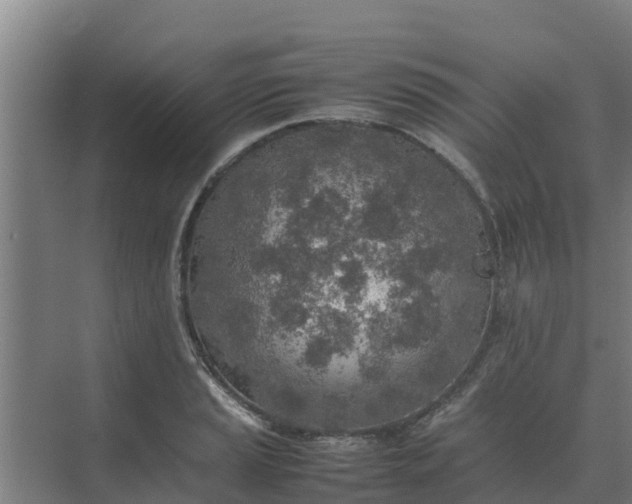 X0000074971037200609152117