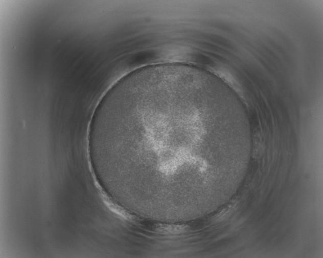 X0000074971039200609152117