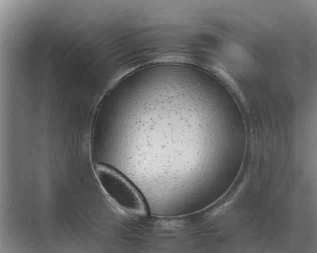 X0000074971041200609152117