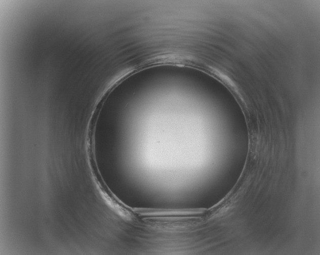 X0000074971042200609152117