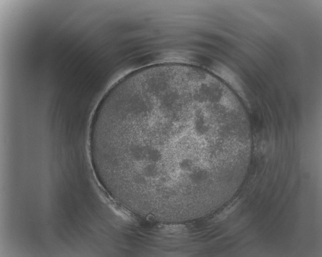 X0000074971043200609152117