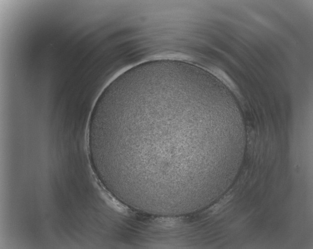 X0000074971044200609152117