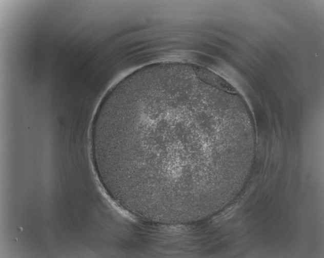 X0000074971045200609152117