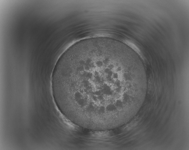 X0000074971047200609152117