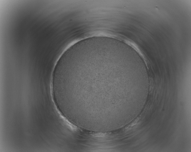 X0000074971048200609152117