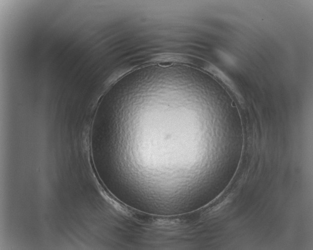 X0000074971049200609152117