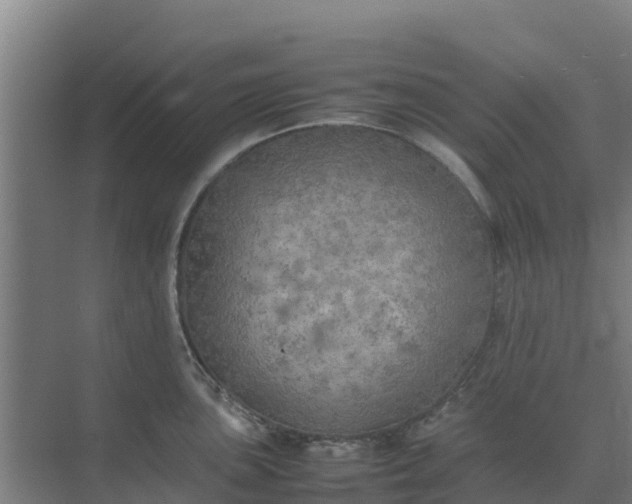 X0000074971051200609152117