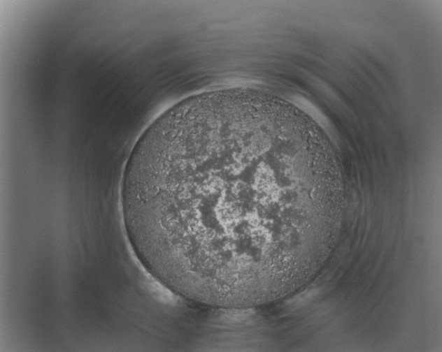 X0000074971055200609152117