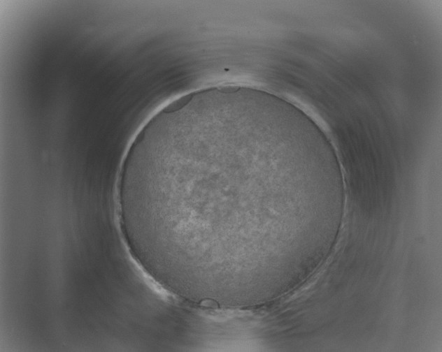 X0000074971056200609152117