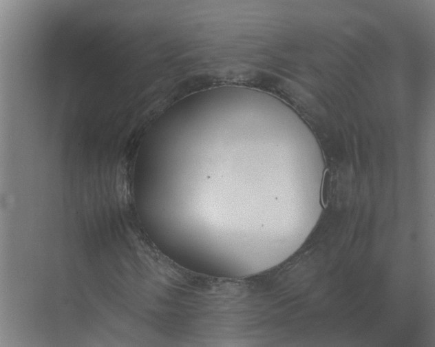 X0000074971058200609152117