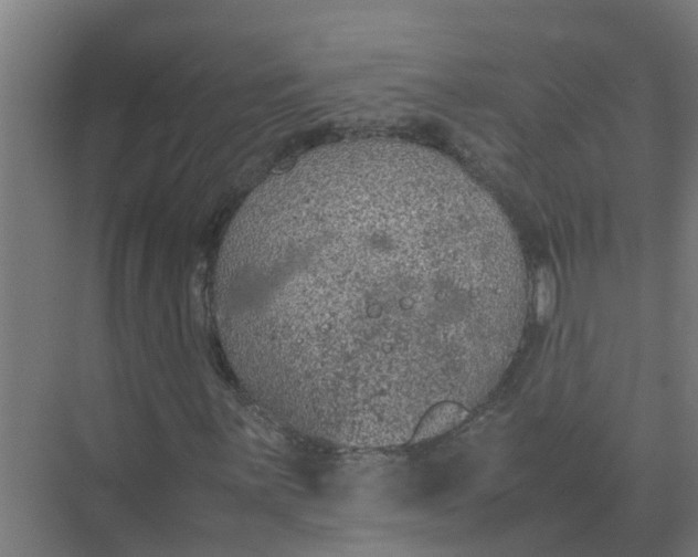 X0000074971059200609152117