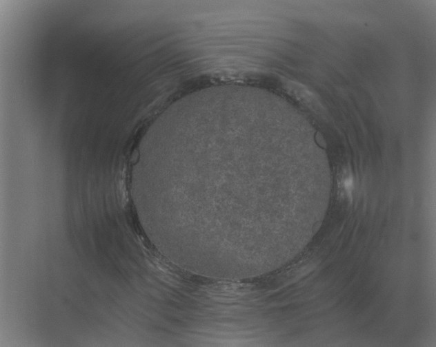 X0000074971060200609152117