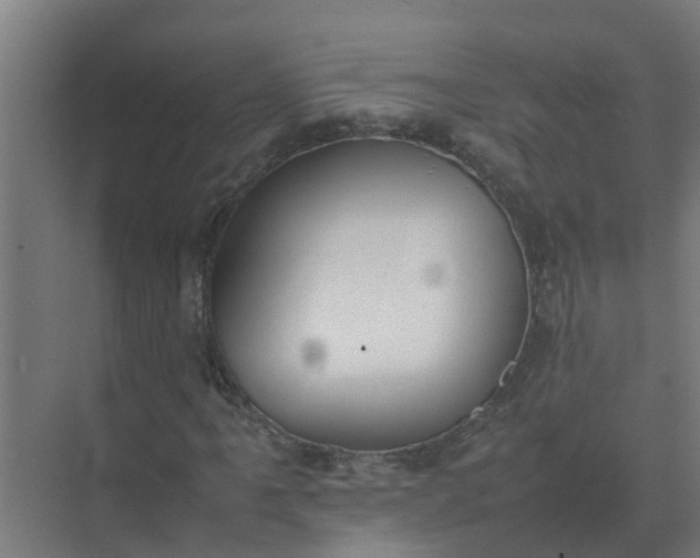 X0000074971061200609152117