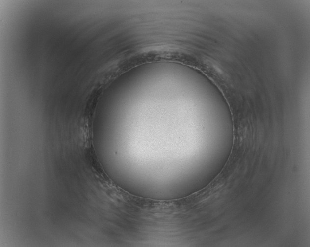 X0000074971062200609152116