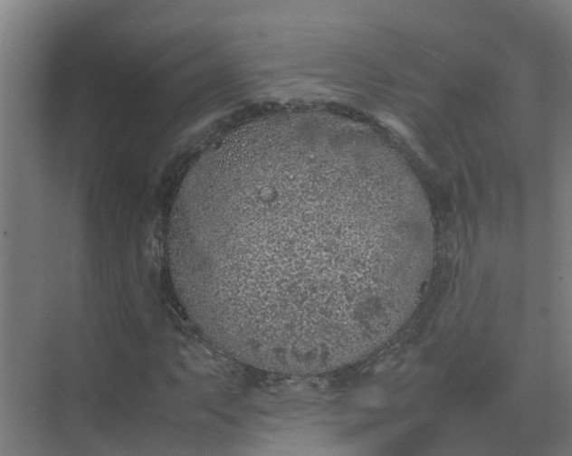 X0000074971063200609152116