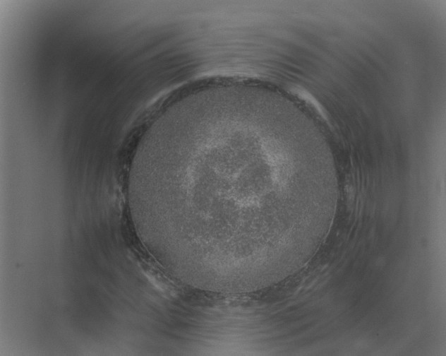 X0000074971064200609152116