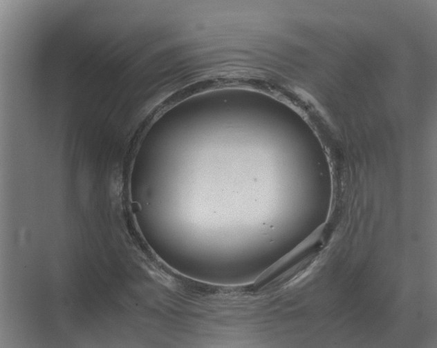 X0000074971065200609152116