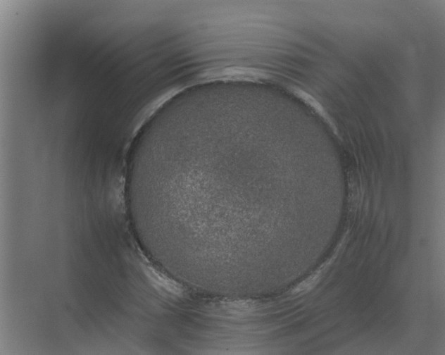 X0000074971066200609152116