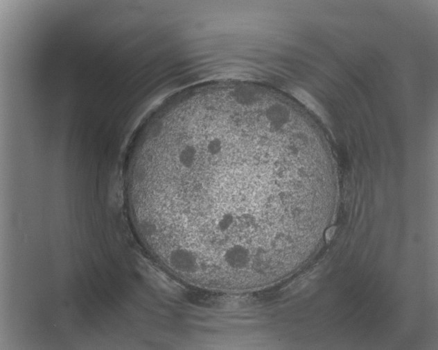 X0000074971067200609152116