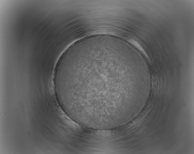 X0000074971068200609152116