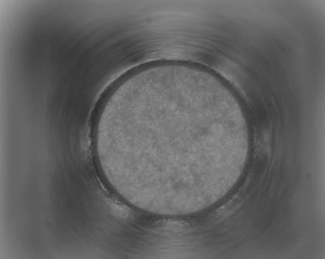 X0000074971070200609152116