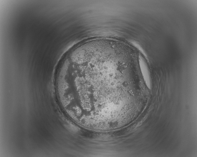 X0000074971071200609152116