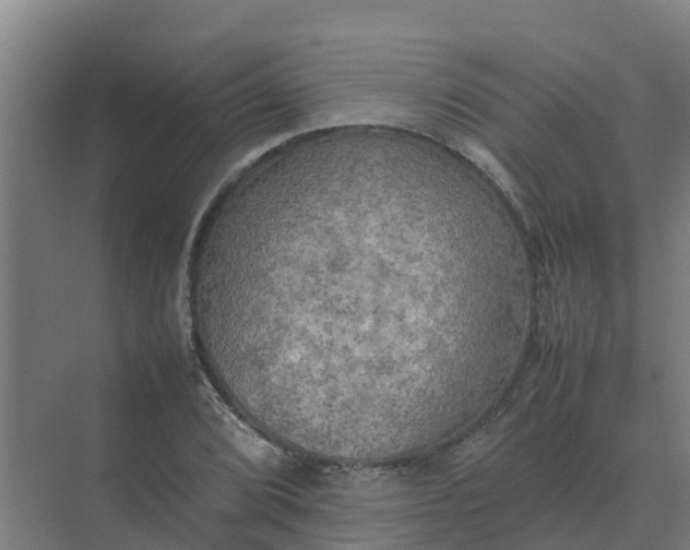 X0000074971072200609152116