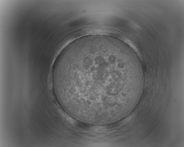 X0000074971075200609152116