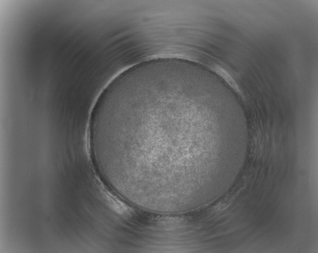 X0000074971076200609152116