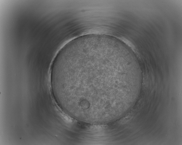 X0000074971078200609152116