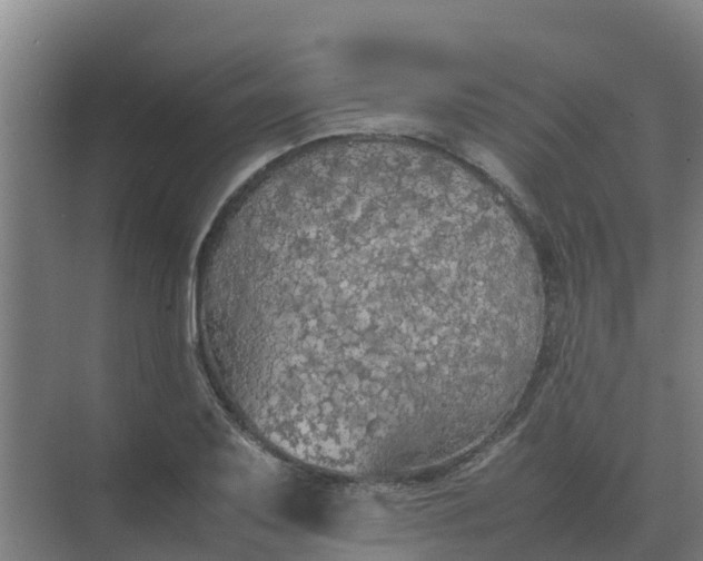 X0000074971079200609152116