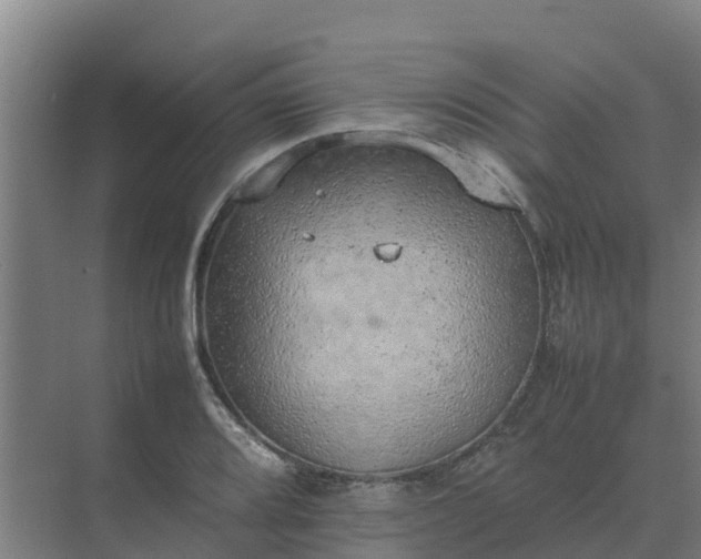 X0000074971080200609152116