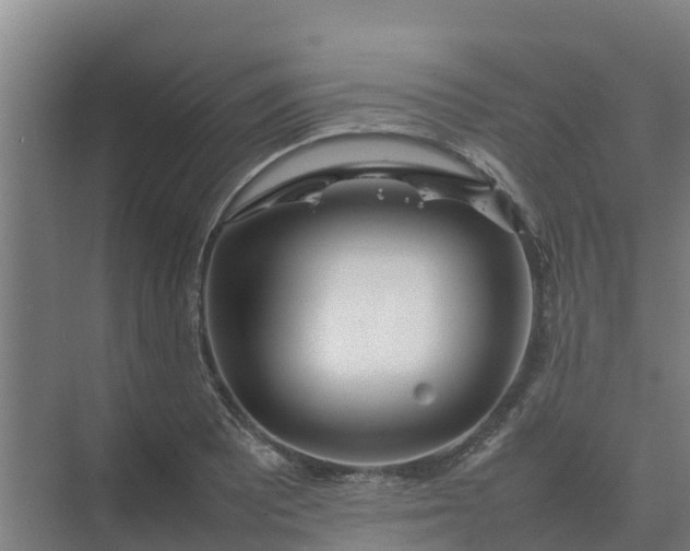 X0000074971081200609152116