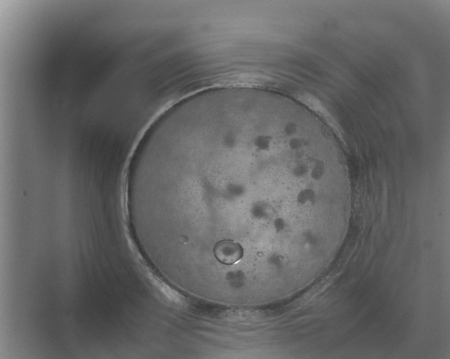 X0000074971083200609152116